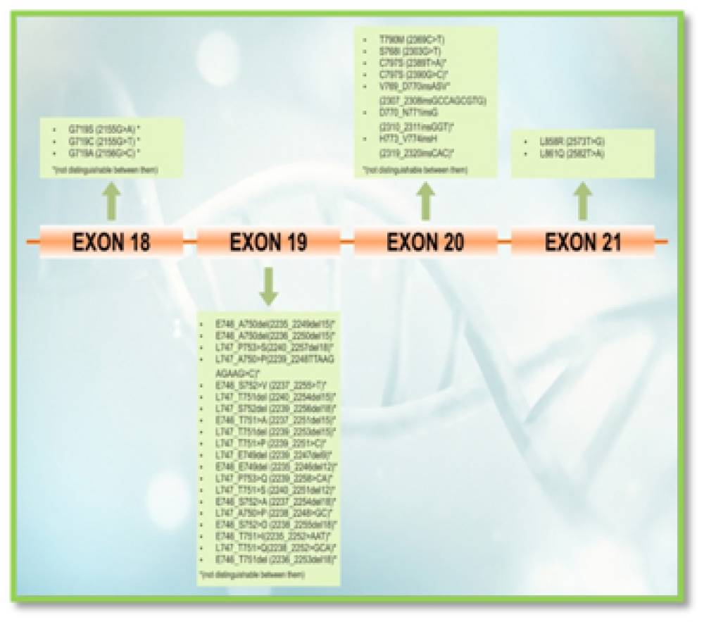 EGFR Mutations Detection