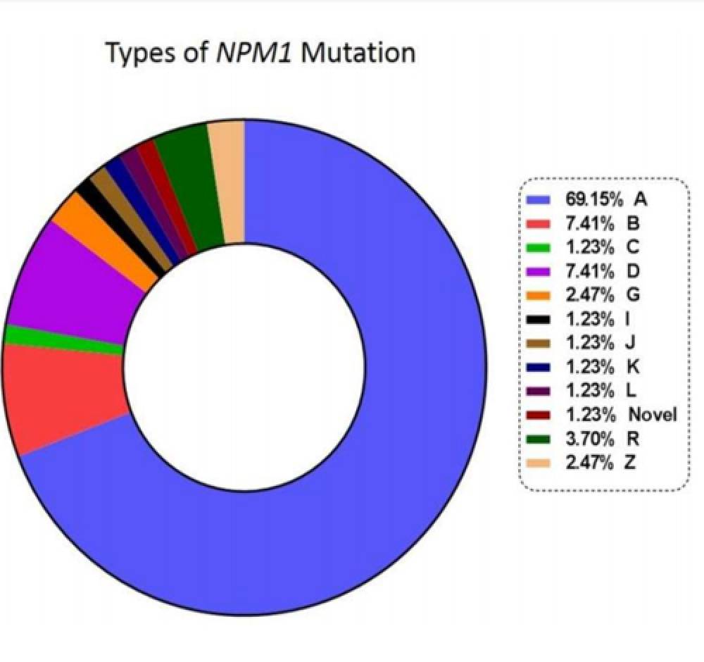 NPM1 Mutations Qualitative