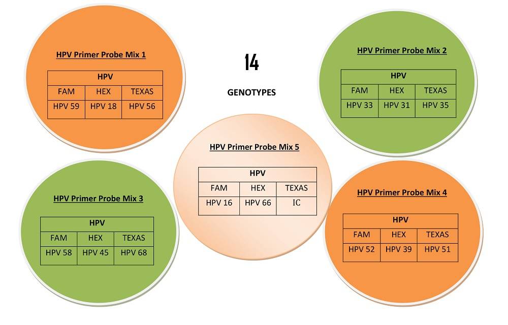 HPV High Risk Genotyping